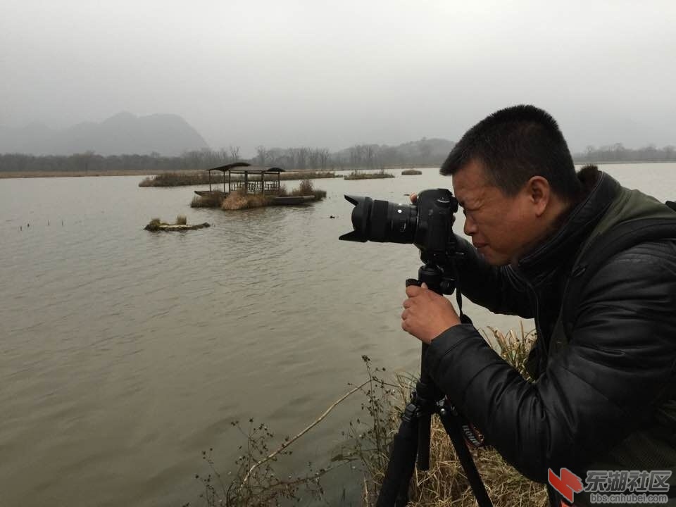 QQ图片20151029090648.jpg