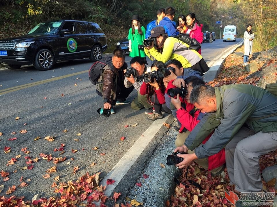 QQ图片20151028154508.jpg