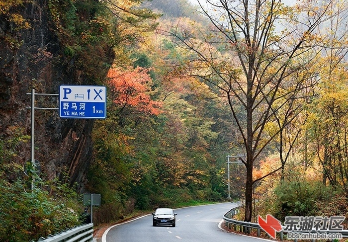 224024hvmjtxc09dcfomqx.jpg