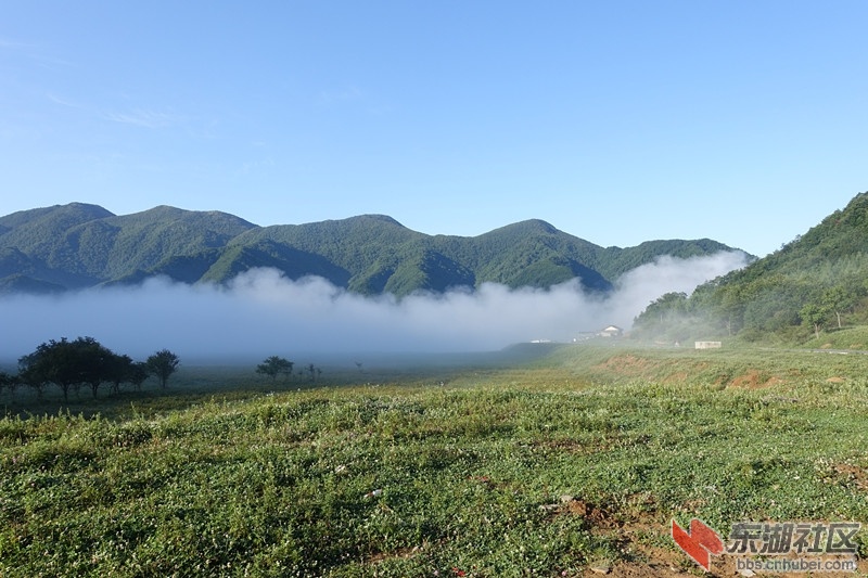 DSC00703_副本.jpg