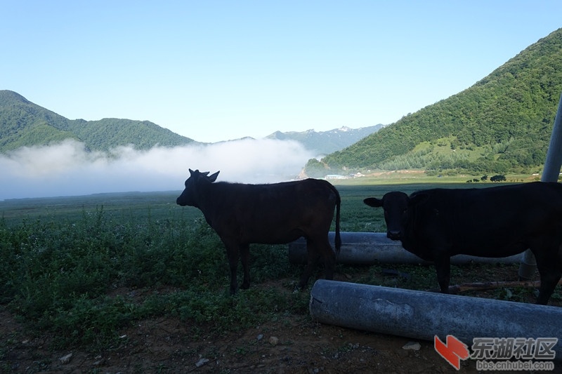 DSC00709_副本.jpg