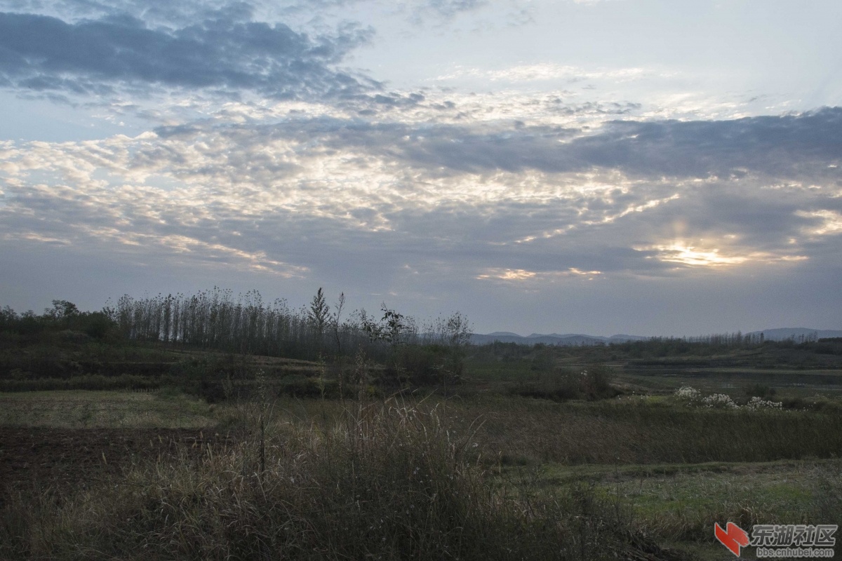 DSC_6620aa.jpg