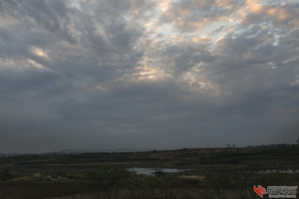 DSC_6662aa.jpg