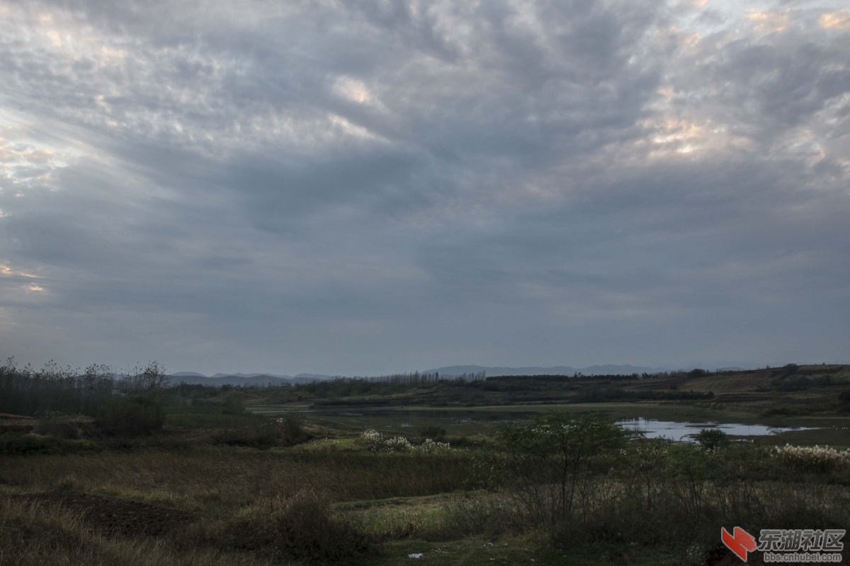 DSC_6664aa.jpg