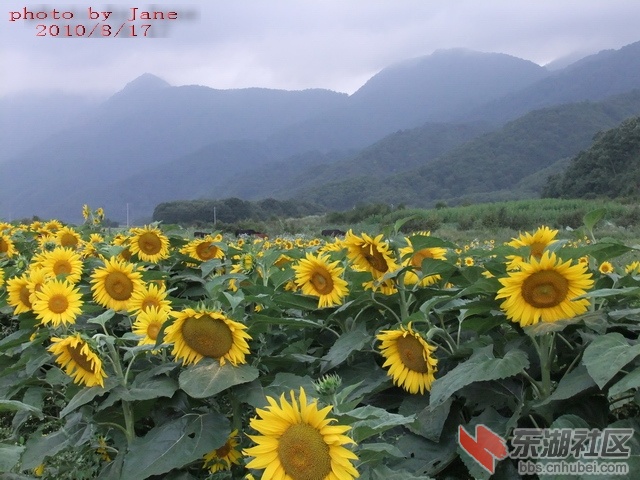 psu92JS28N4.jpg