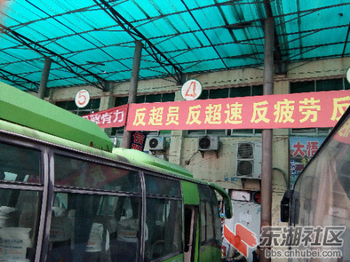 IMG_20151029_101933.jpg