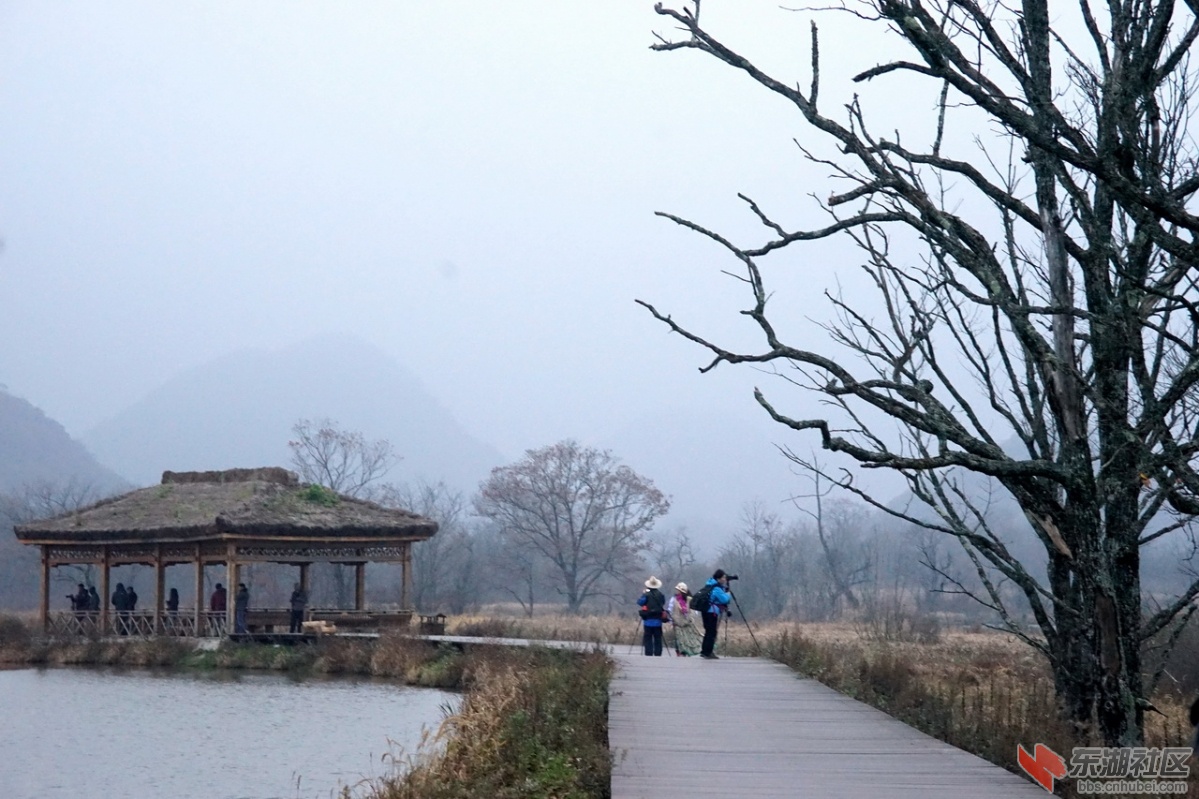 DSC07216.jpg