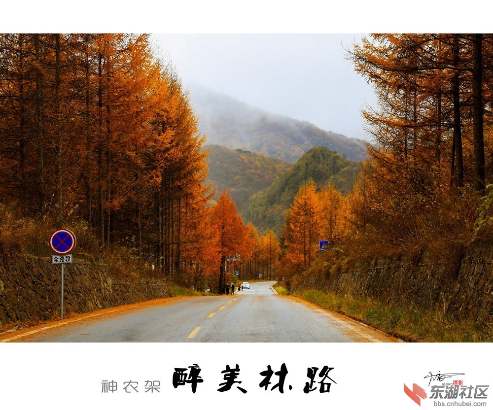 醉美林路01.jpg