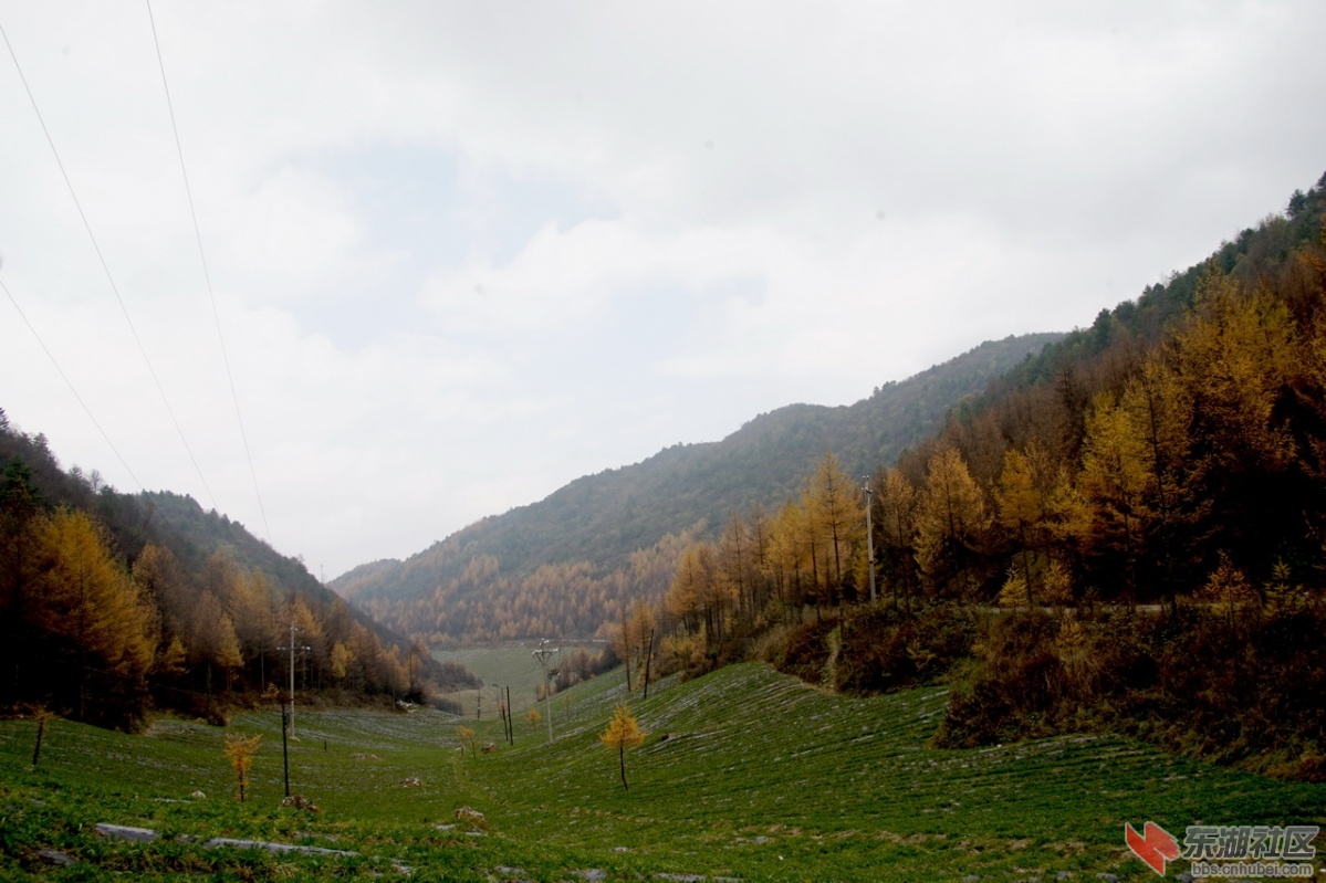 DSC06982.jpg