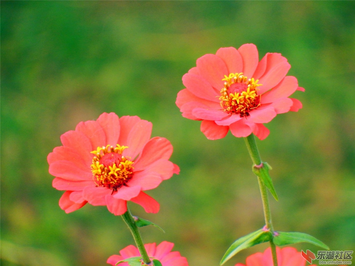DSCF4157_副本.jpg