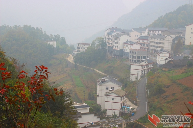 img_5955_副本.jpg