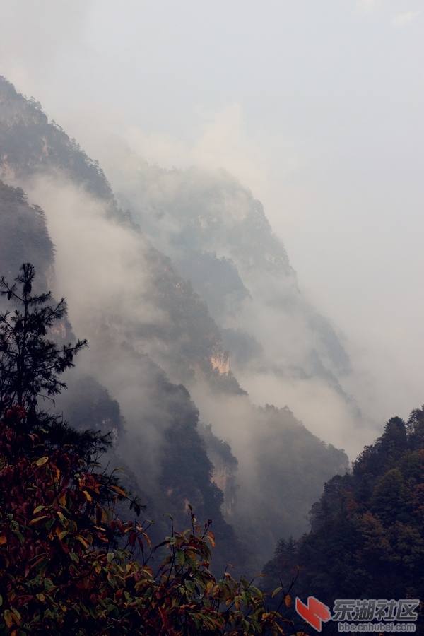 img_5958_副本.jpg