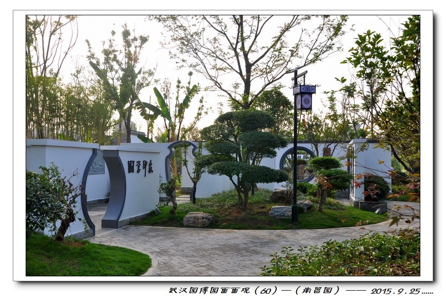 nEO_IMG_DSC_0150.jpg