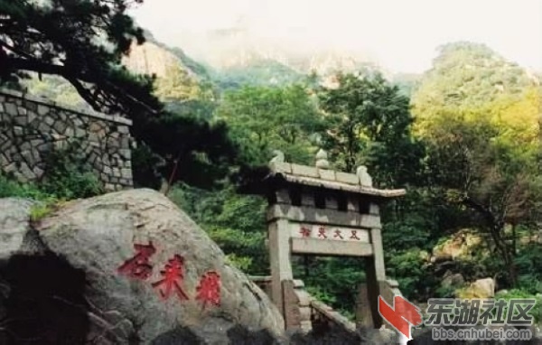 2五大夫松.jpg
