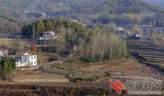 QQ截图20151101140510.jpg