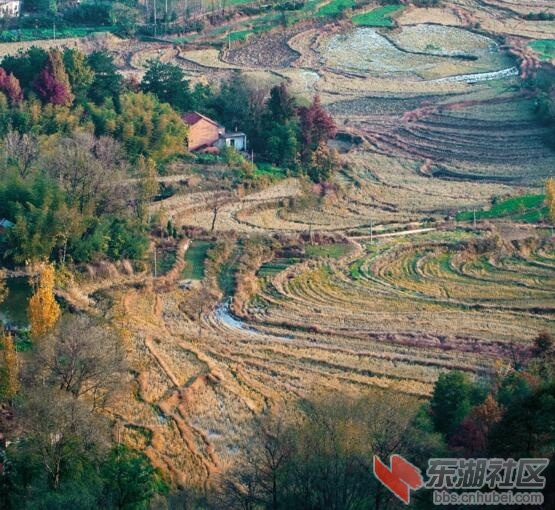 QQ截图20151101140537.jpg
