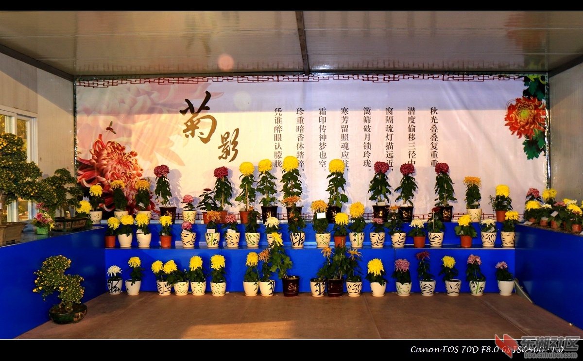IMG_4695副本.jpg
