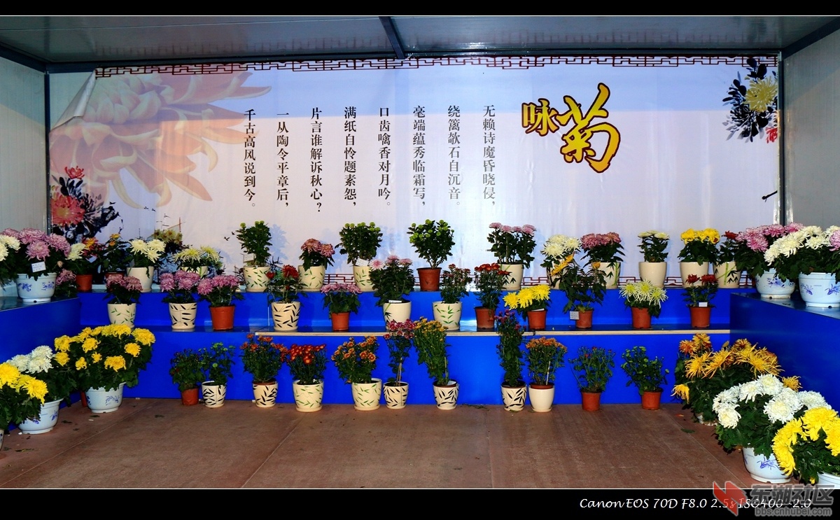 IMG_4692副本.jpg