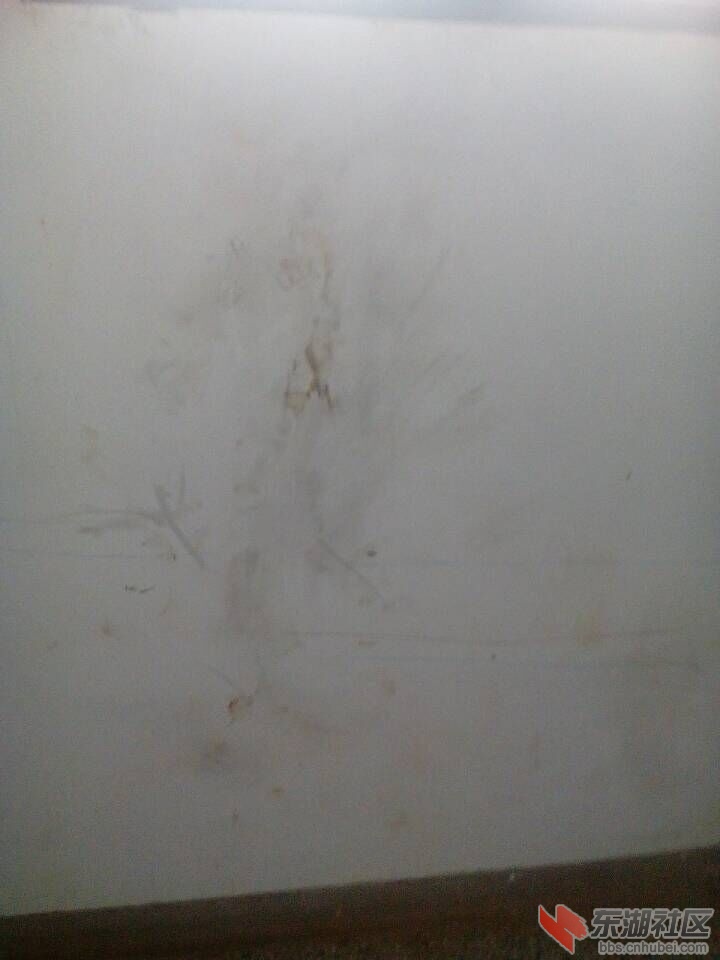 QQ图片20151104095059.jpg
