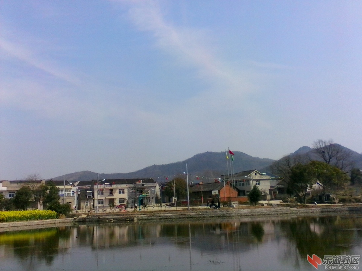 全景