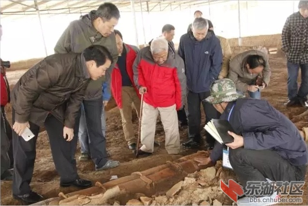 石家河考古.jpg