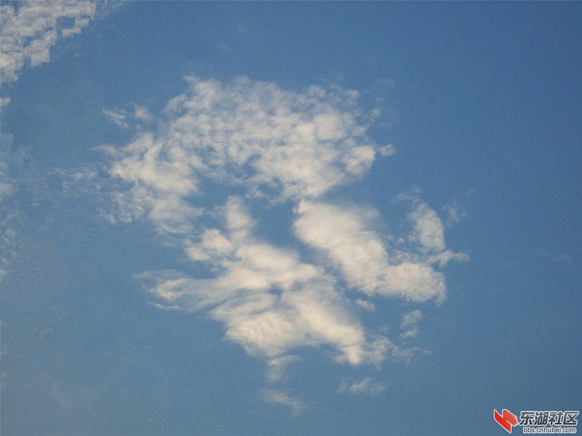 DSCF4636_副本_副本.jpg
