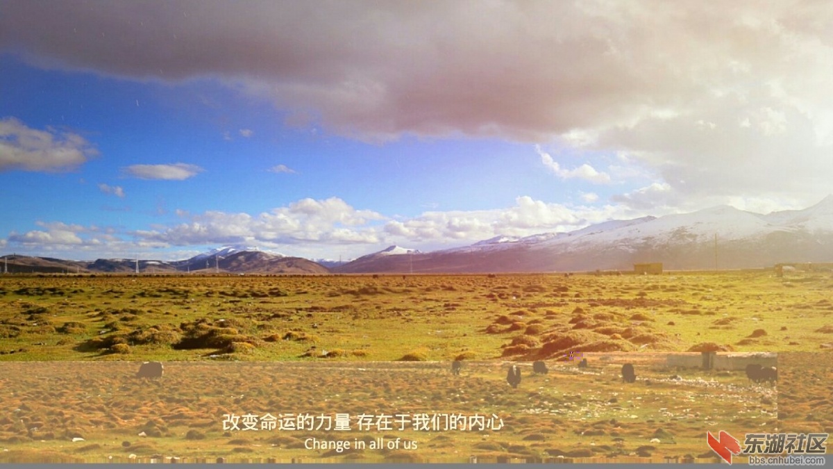 IMG1444988057454.jpg