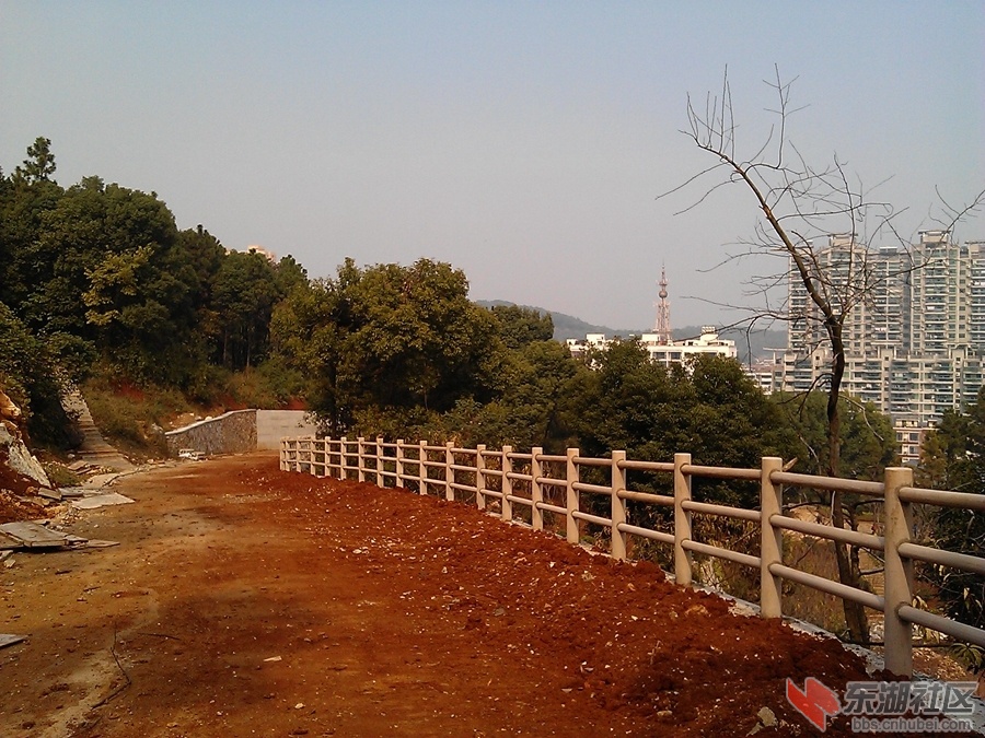 06.jpg