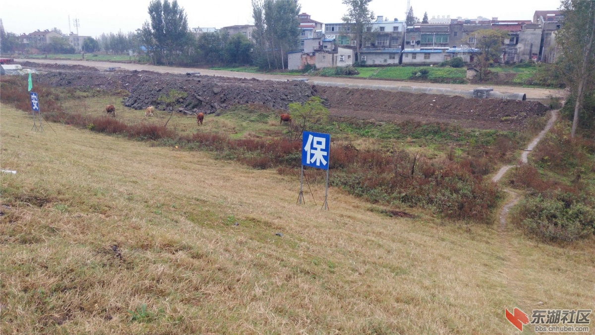 IMG_20151107_101034_副本.jpg