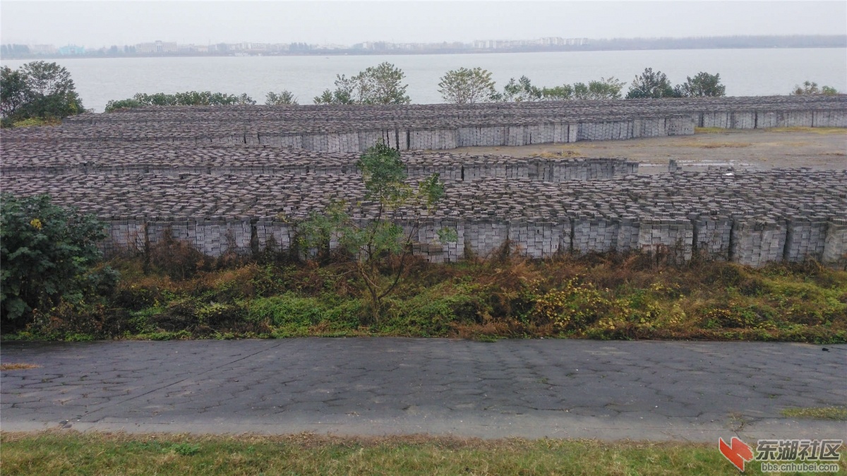 IMG_20151107_103510_副本.jpg