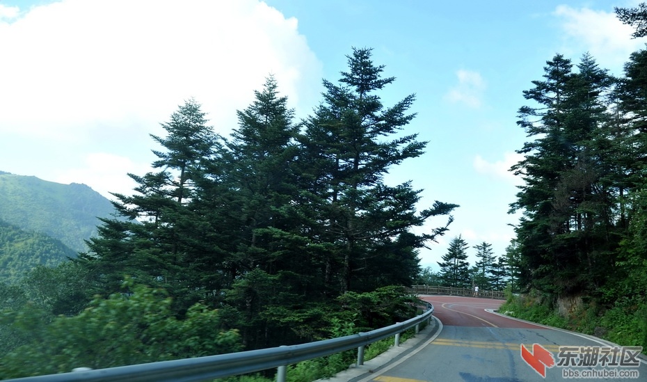 DSC_6988.jpg