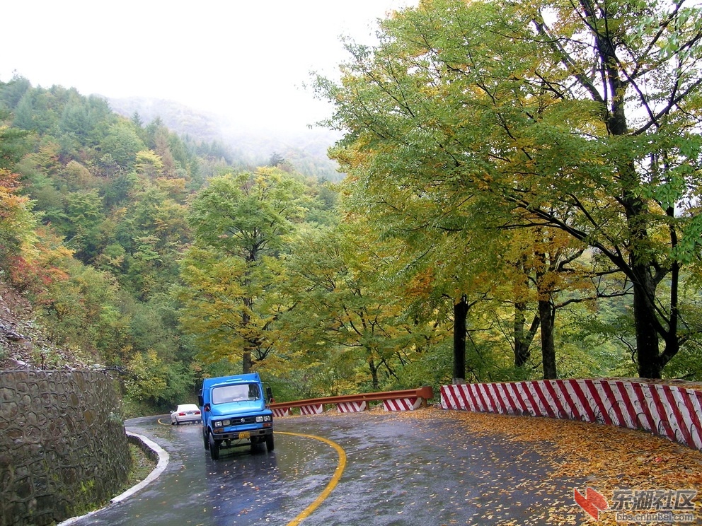 DSCN4703.jpg