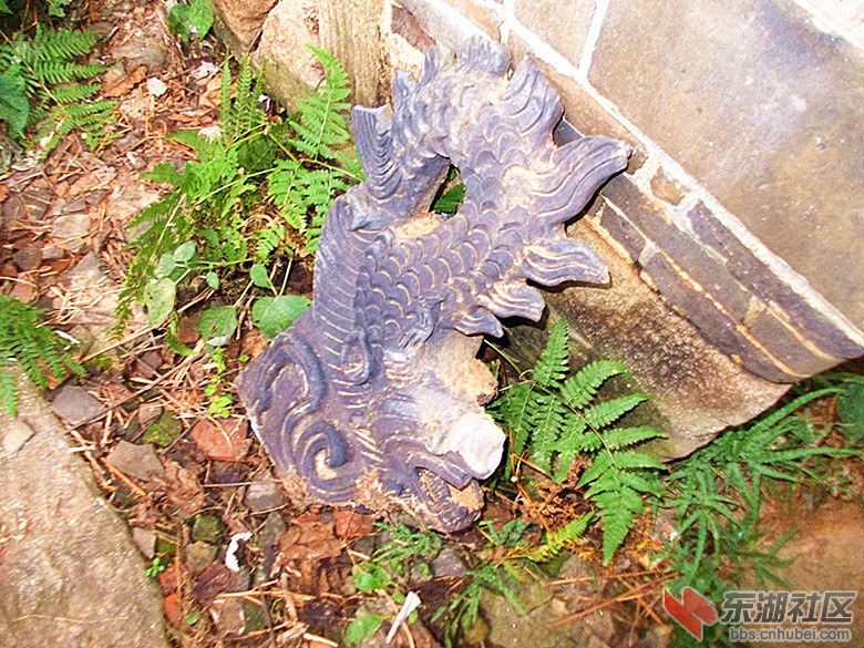 这可是宝贝---石雕