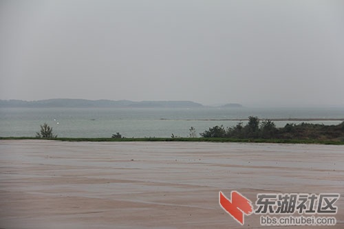 IMG_8925.jpg