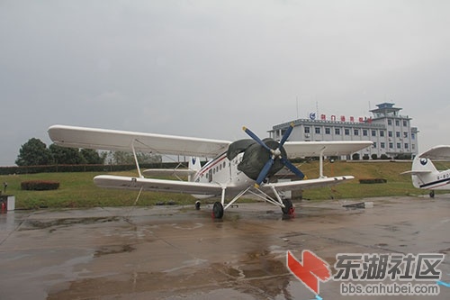 IMG_8921.jpg