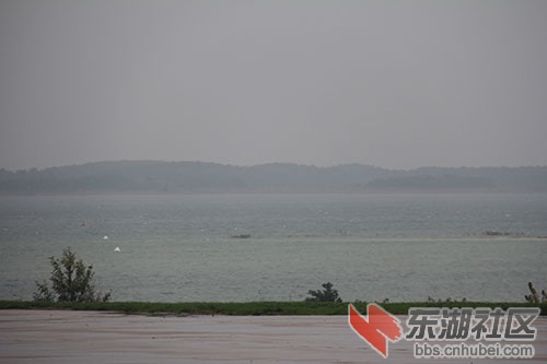 IMG_8926.jpg