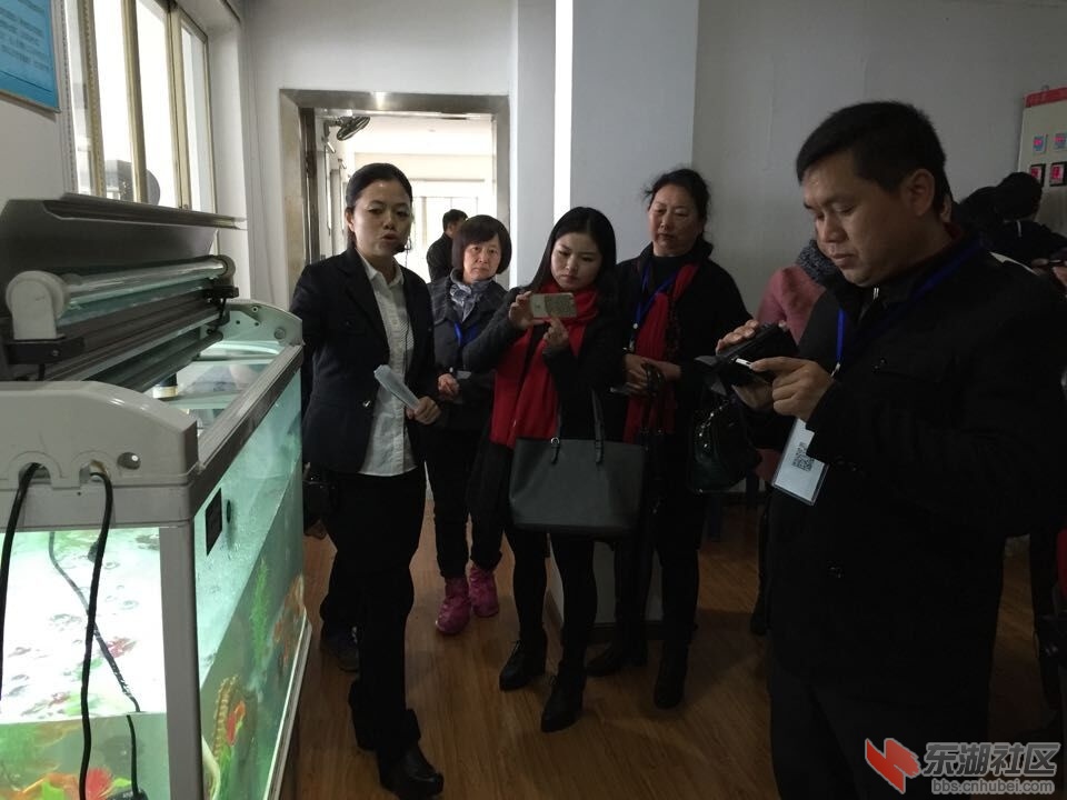 QQ图片20151111092220.jpg