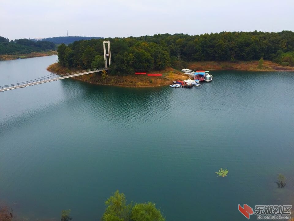 QQ图片20151111092541.jpg