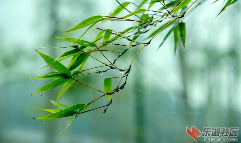 DSC_3093_副本_副本.jpg