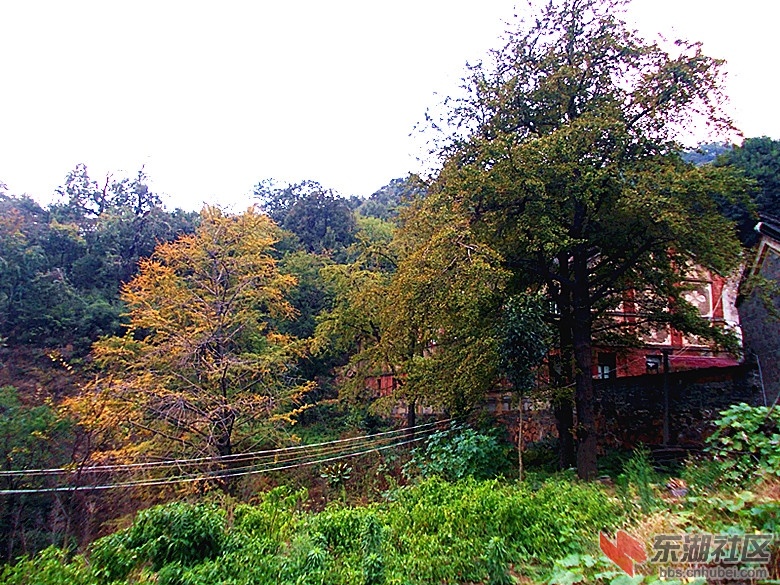 DSCN0118_副本.jpg