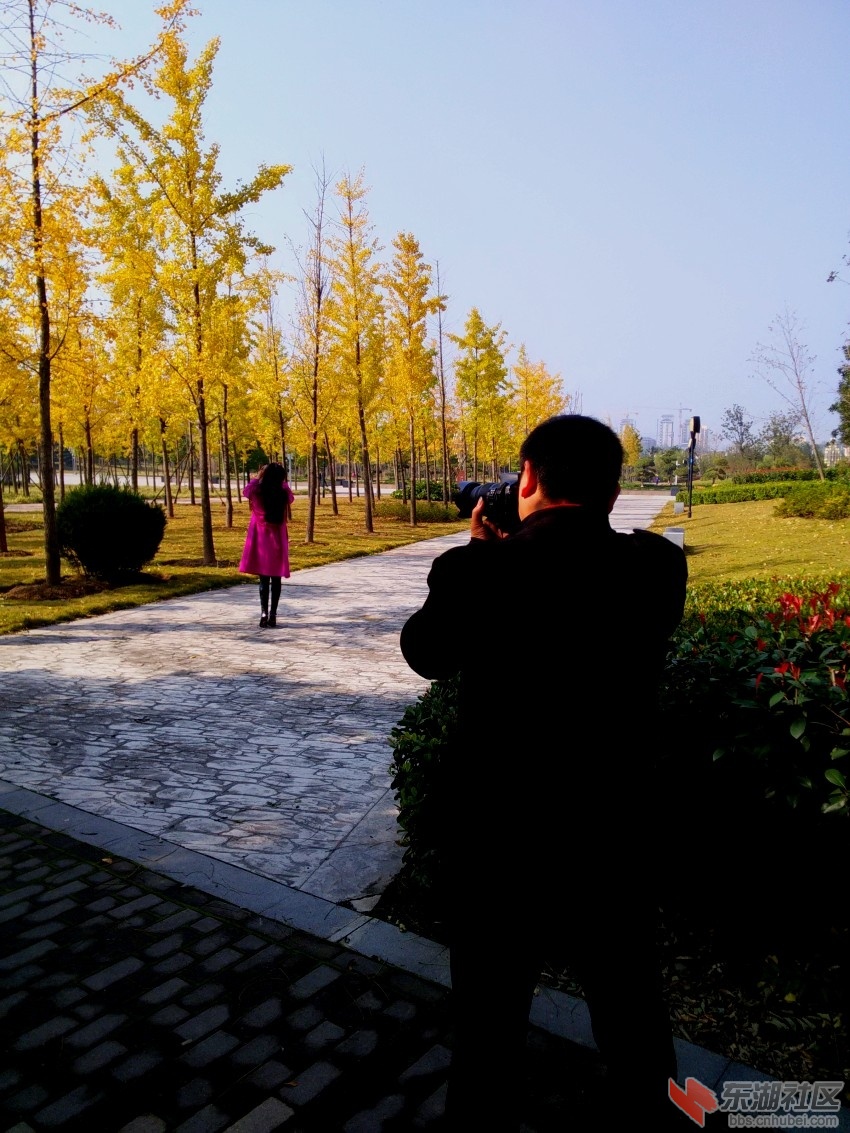 IMG20151109105804_conew1.jpg