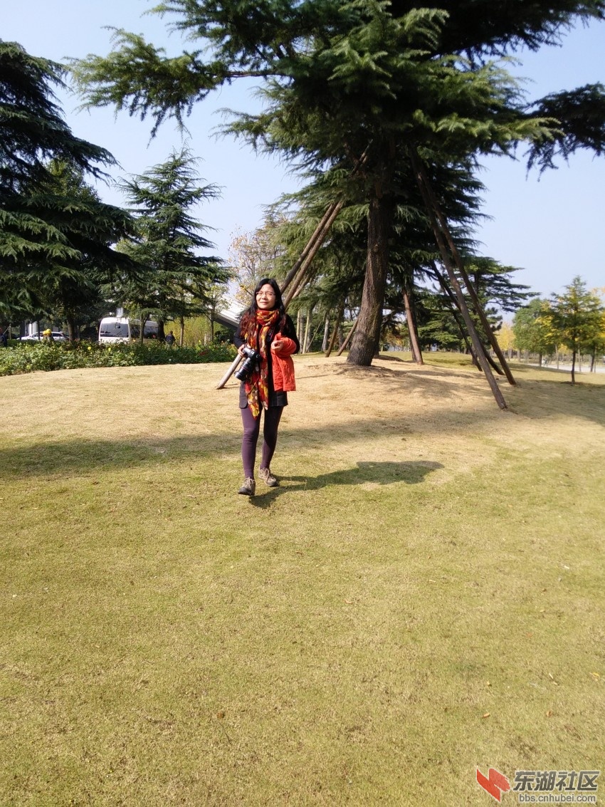 IMG20151109110322_conew1.jpg