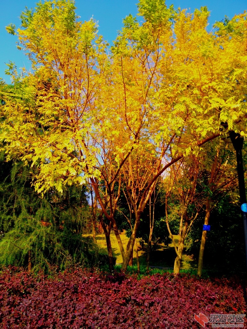 IMG20151109102806_conew1.jpg