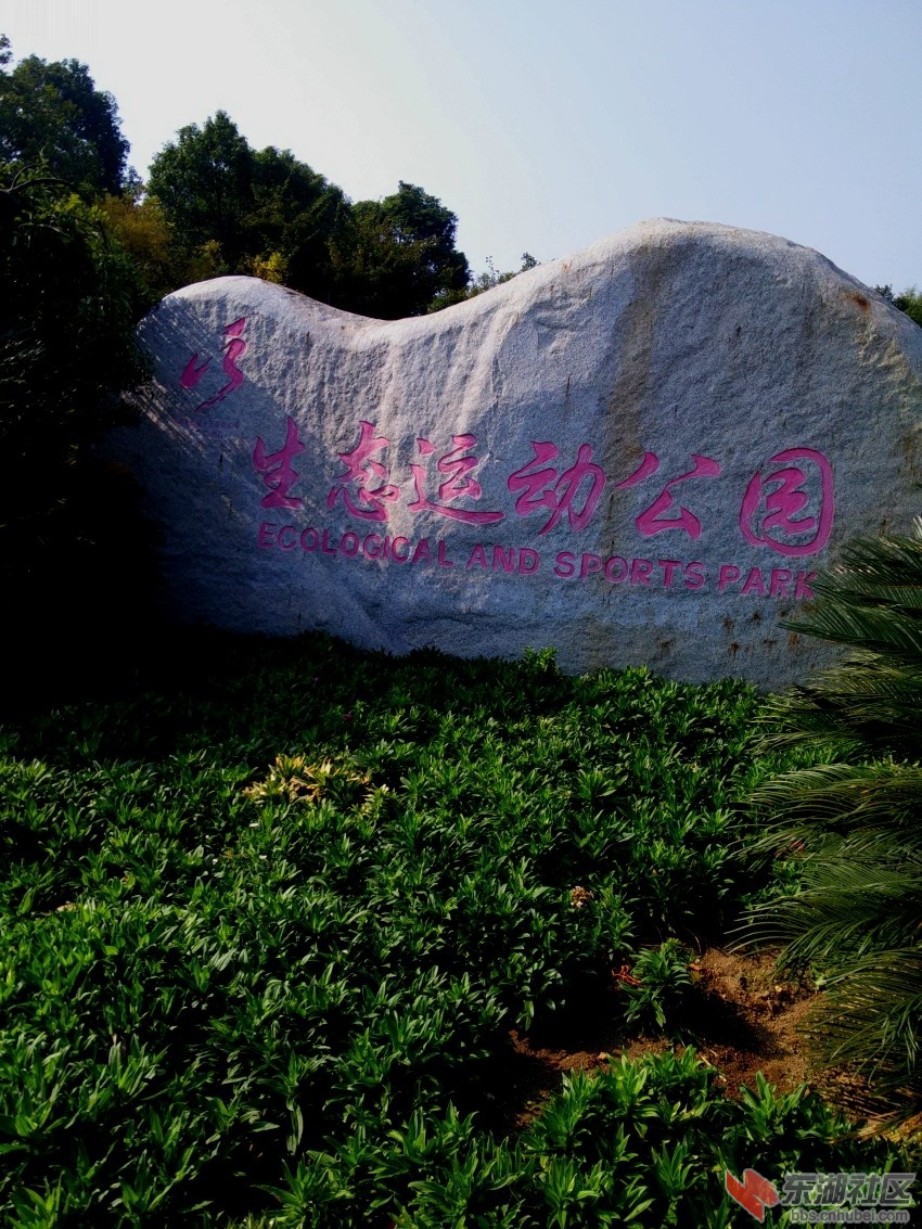 IMG20151109104422_conew1.jpg