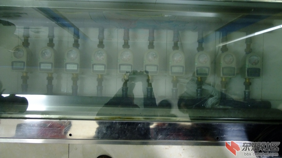 DSCF4137.jpg