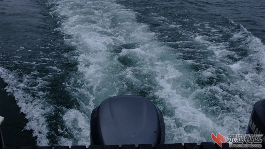 DSCF4270.jpg