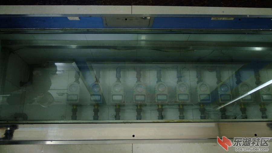 DSCF4136.jpg