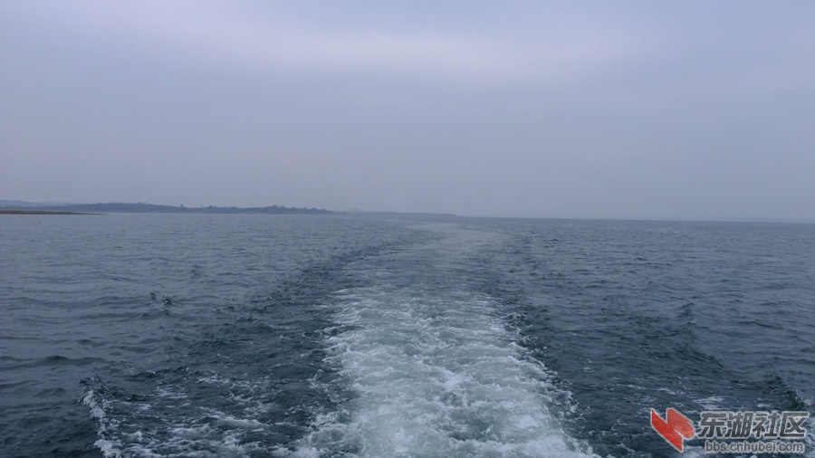 DSCF4272.jpg