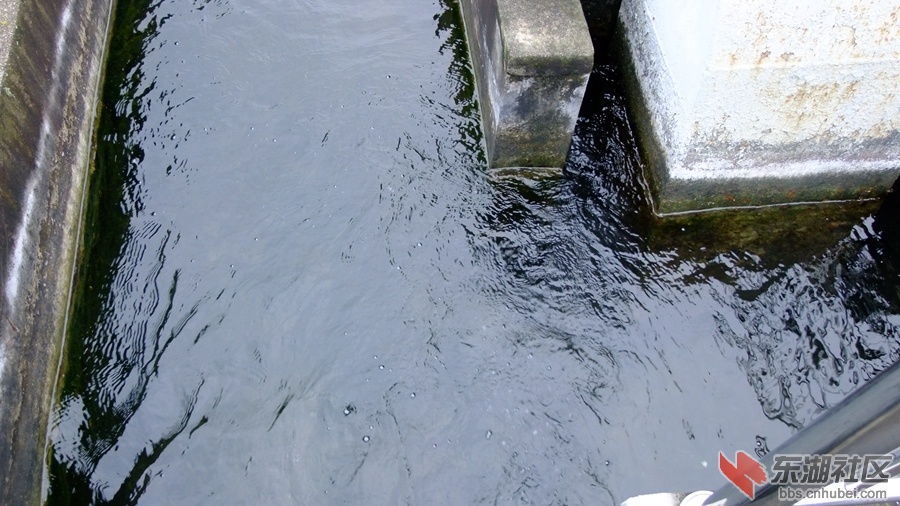 DSCF4190.jpg