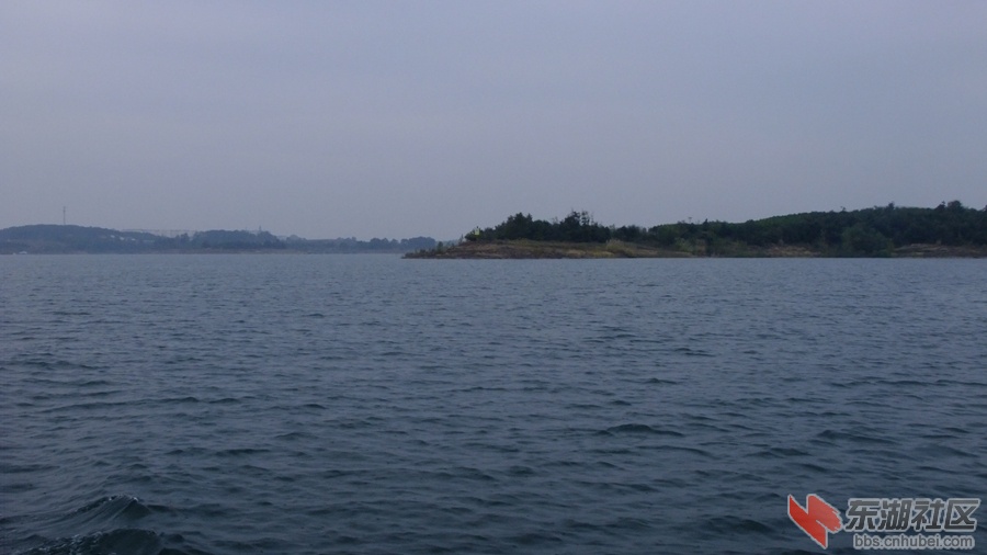 DSCF4269.jpg